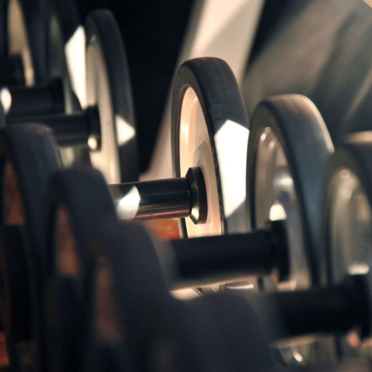 Όργανα γυμναστικής